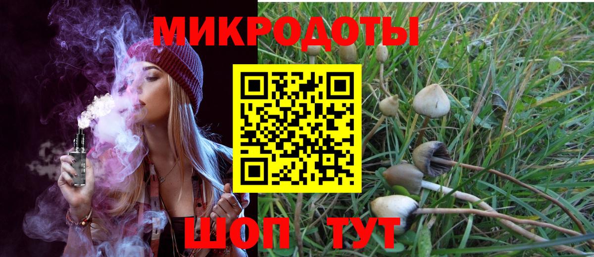 Россия  Псилоцибиновые грибы Psilocybine cubensis  Псилоцибиновые грибы мухоморы  Вход с VPN 